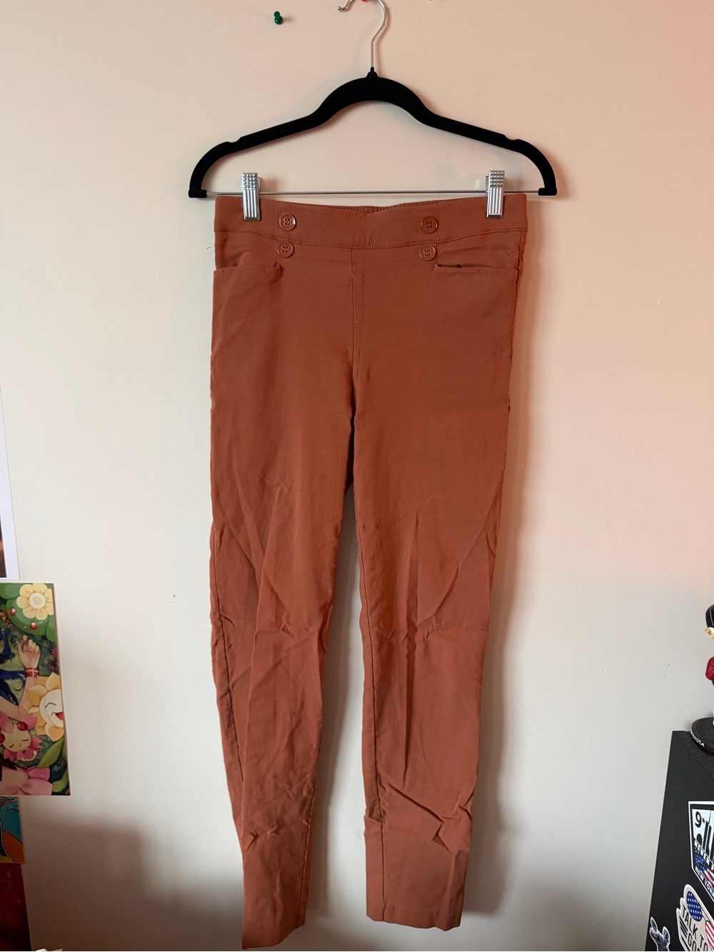89th & Madison Rust Brown Skinny Pants